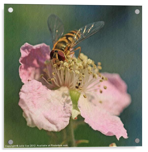 Hoverfly Acrylic by Julie Coe