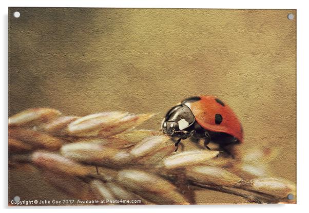 Ladybug Acrylic by Julie Coe