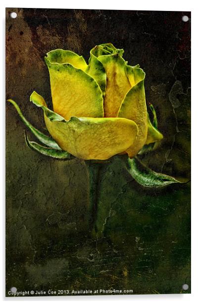 Rose Of Yellow Acrylic by Julie Coe