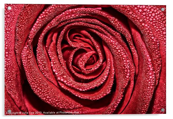 Raindrop Rose Acrylic by Julie Coe