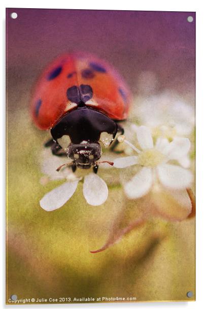 Ladybird Acrylic by Julie Coe