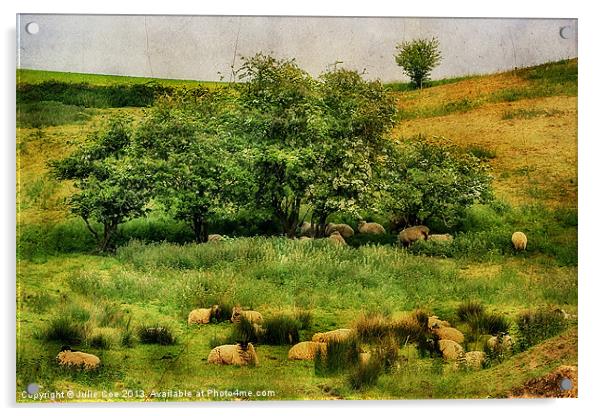 Meadow Sheep Acrylic by Julie Coe
