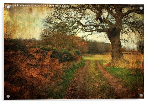 A Norfolk Walk 2 Acrylic by Julie Coe
