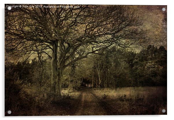 Darkened Woods Acrylic by Julie Coe