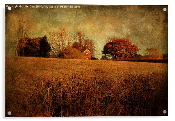 Rural House Acrylic by Julie Coe