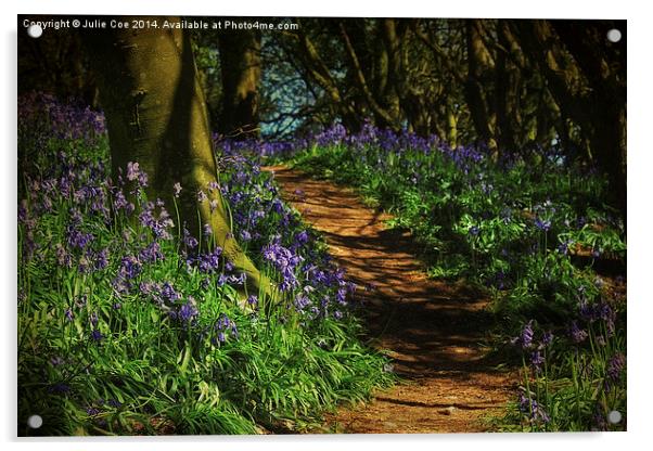 Bunkers Hill Bluebells Acrylic by Julie Coe