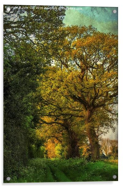 A Beautiful Walk Acrylic by Julie Coe