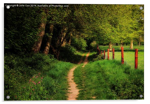 Blickling, Norfolk 4 Acrylic by Julie Coe