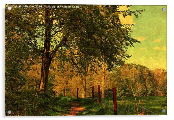 Blickling Woods, Norfolk 2 Acrylic by Julie Coe