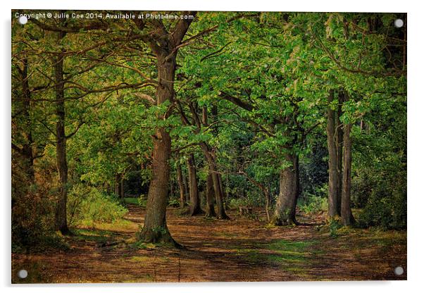 Holt Country Park 16 Acrylic by Julie Coe