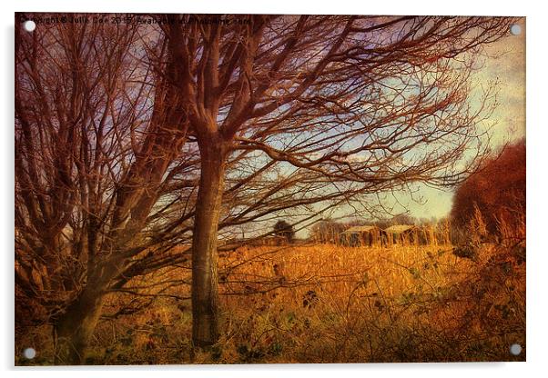 Edgefield, Norfolk 53 Acrylic by Julie Coe