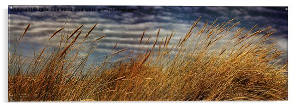 Holkham Dunes 5 Acrylic by Julie Coe