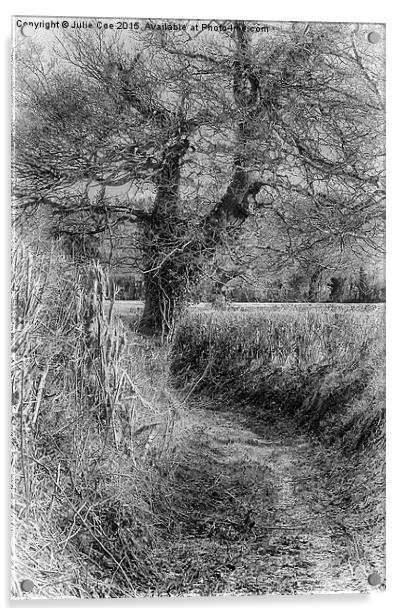 Black and White Lane Acrylic by Julie Coe