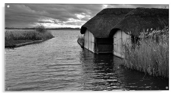 Winter on Hickling Broad Acrylic by Barry Norton