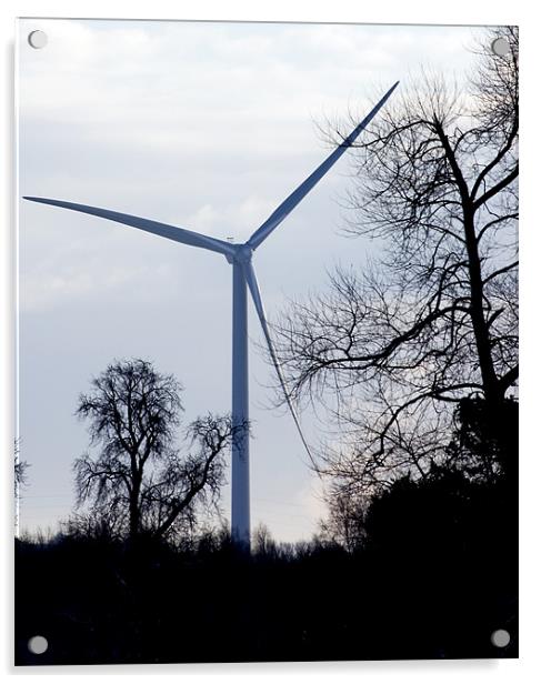 Wind Turbine through Trees Acrylic by David Moate