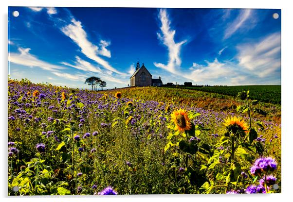 Sunflowers and Flax,Boarhills Church Acrylic by Andrew Beveridge