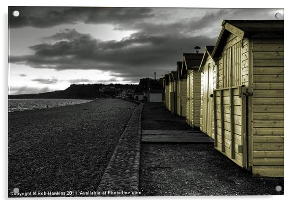 Beach Huts at Budleigh Acrylic by Rob Hawkins
