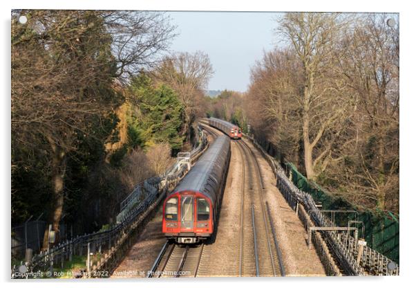 Roding Valley Transport Acrylic by Rob Hawkins