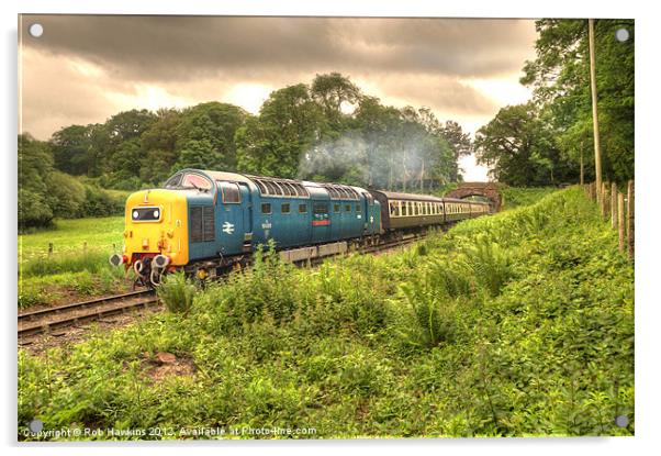 Deltic in Somerset Acrylic by Rob Hawkins