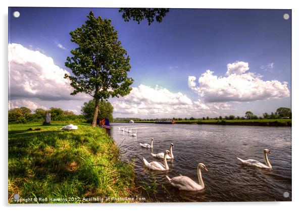 Swan River Acrylic by Rob Hawkins