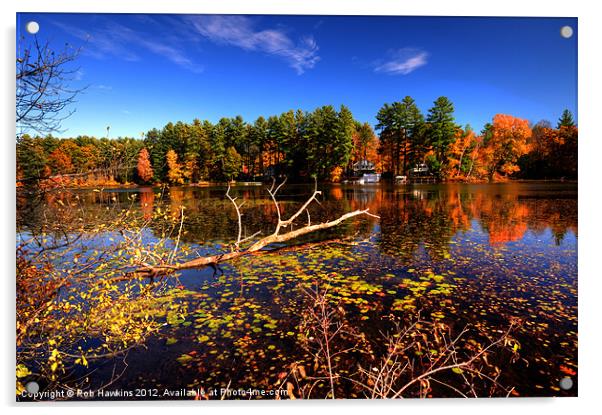 Bomoseen Lake in the Fall Acrylic by Rob Hawkins