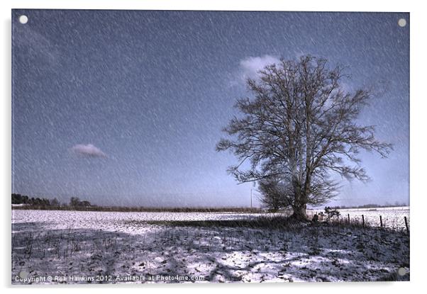 Let it snow Acrylic by Rob Hawkins