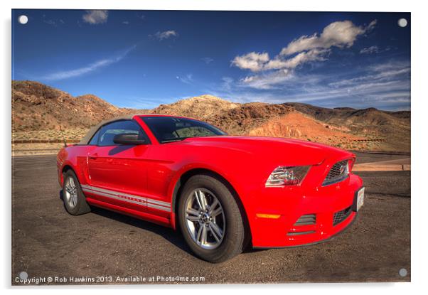 Red Mustang Acrylic by Rob Hawkins