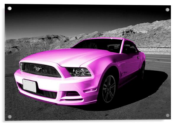 Pink Mustang Acrylic by Rob Hawkins