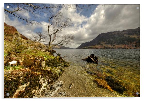 Landscape of the Lake Acrylic by Rob Hawkins