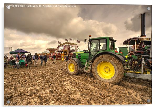  Glorious Mud  Acrylic by Rob Hawkins