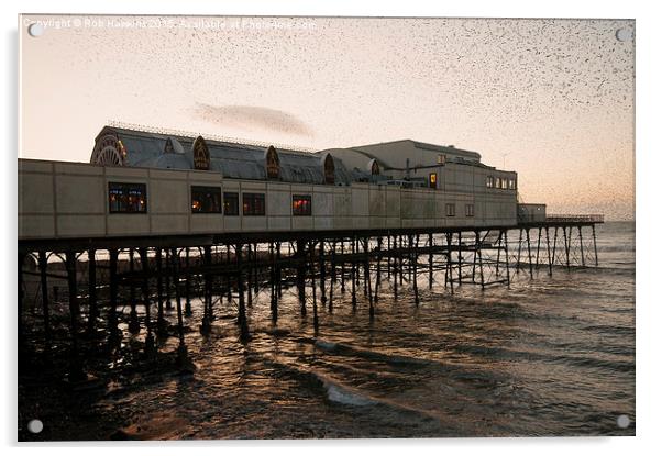  Aberystwyth Murmuration   Acrylic by Rob Hawkins