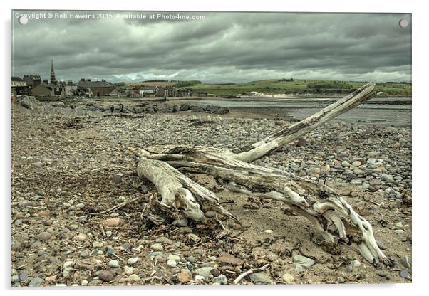  Stonehaven Driftwood Acrylic by Rob Hawkins