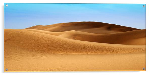 Dunes of Maspalomas Acrylic by Rob Hawkins