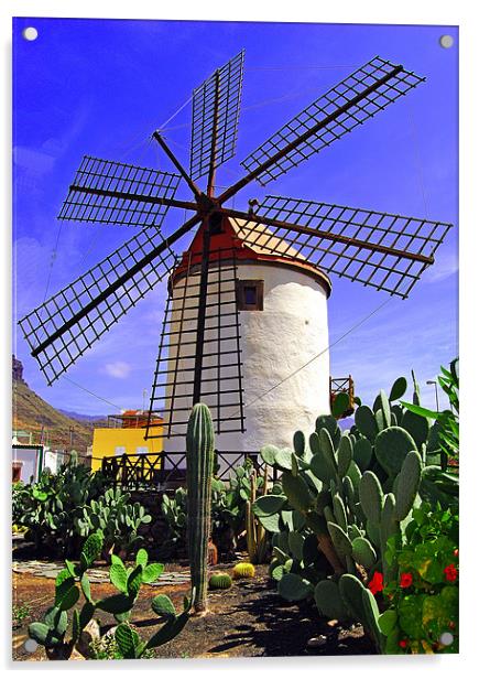 Tropical Windmill Acrylic by Rob Hawkins