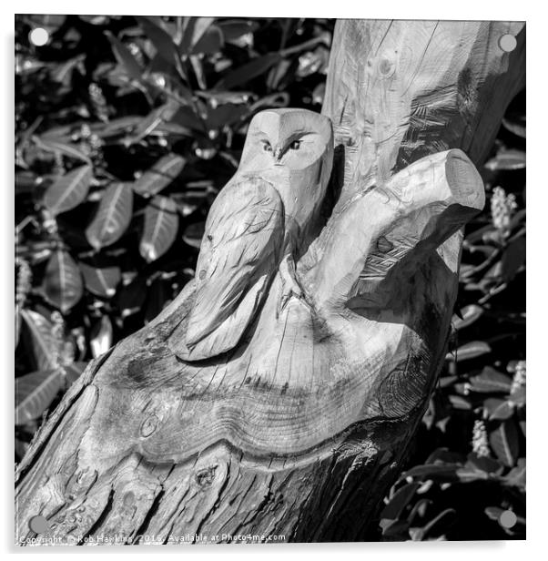 Tree Owl  Acrylic by Rob Hawkins