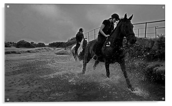 Water Horses Acrylic by Rob Hawkins