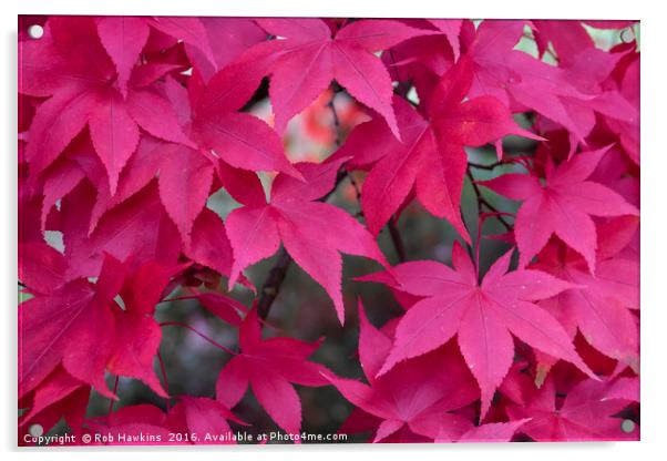 Autumn Reds  Acrylic by Rob Hawkins