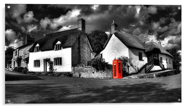 Phone n thatch (mono version) Acrylic by Rob Hawkins