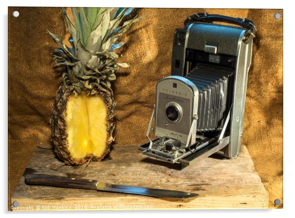 Polaroid and Pineapple  Acrylic by Rob Hawkins
