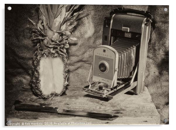 Pineapple Polaroid  Acrylic by Rob Hawkins