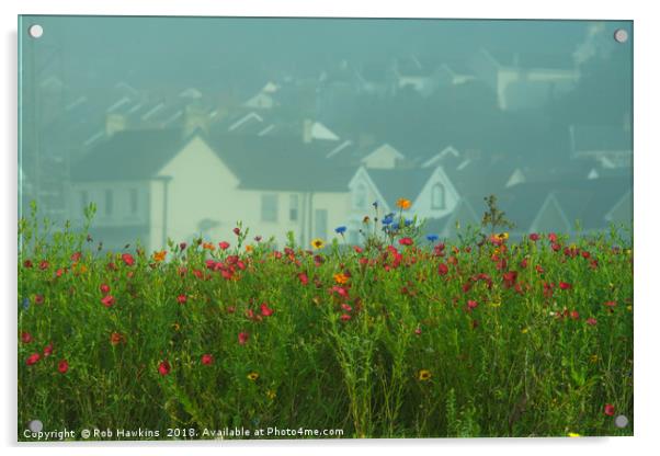 Swansea Wild Flowers  Acrylic by Rob Hawkins