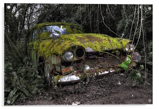 A (non) rolling car gathers some moss Acrylic by Rob Hawkins