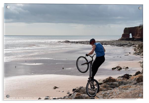 Dawlish Warren Rockhopper Acrylic by Rob Hawkins