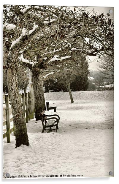 Winter Acrylic by Alexia Miles