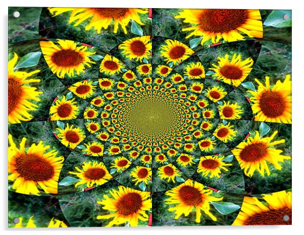 Sunflower Acrylic by Alexia Miles