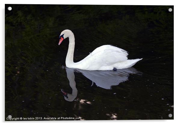 Lone Swan Acrylic by les tobin