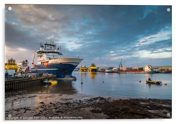 Deep Cygnus, Ferryden, Montrose Harbour Acrylic by Douglas Kerr