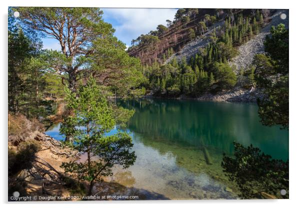 The Green Loch, An Lochan Uaine, Aviemore. Acrylic by Douglas Kerr