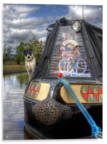 A Dogs Life Afloat Acrylic by Mike Sherman Photog