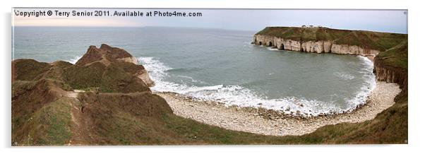 Panoramic View of Thornwick Bay, Yorkshire Acrylic by Terry Senior